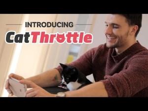 Introducing Cat Throttle: The Internet’s Cat Community