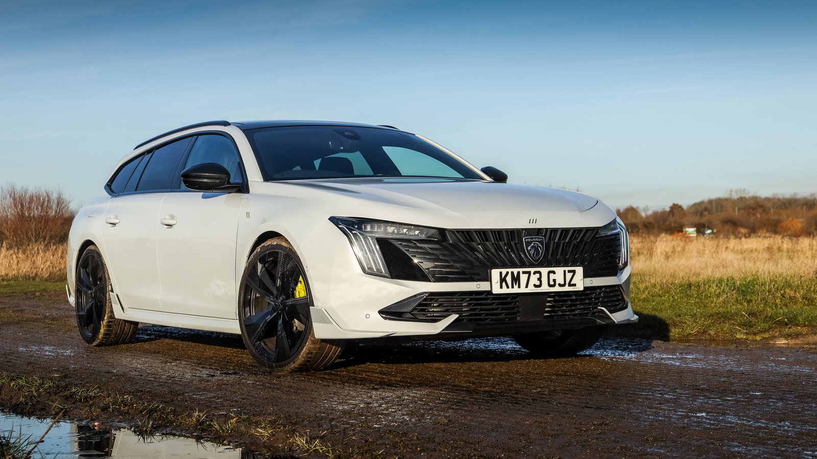 Peugeot 508 PSE - front