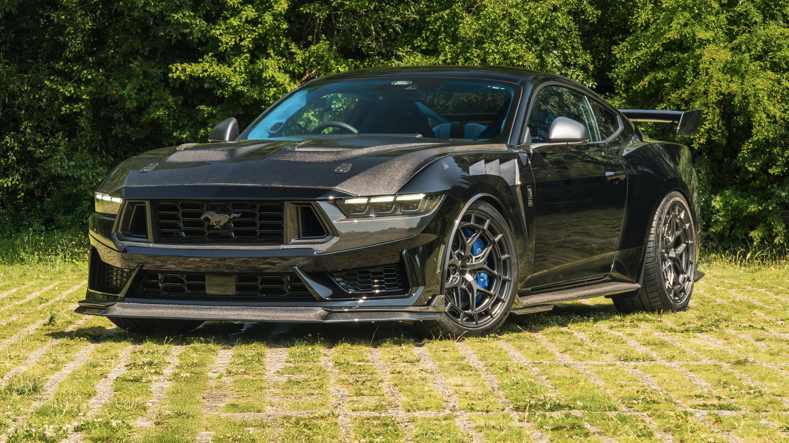 Ford Mustang CS800DH - front