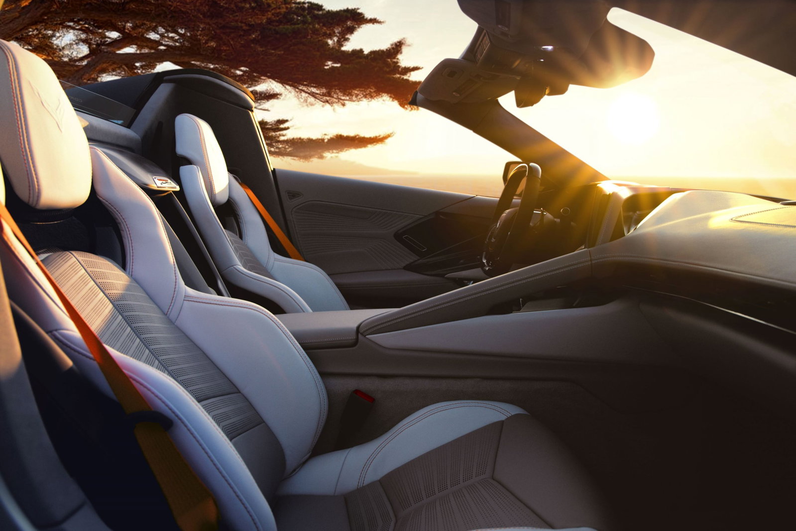 Chevrolet Corvette ZR1X Quali Silver Limited Edition - interior