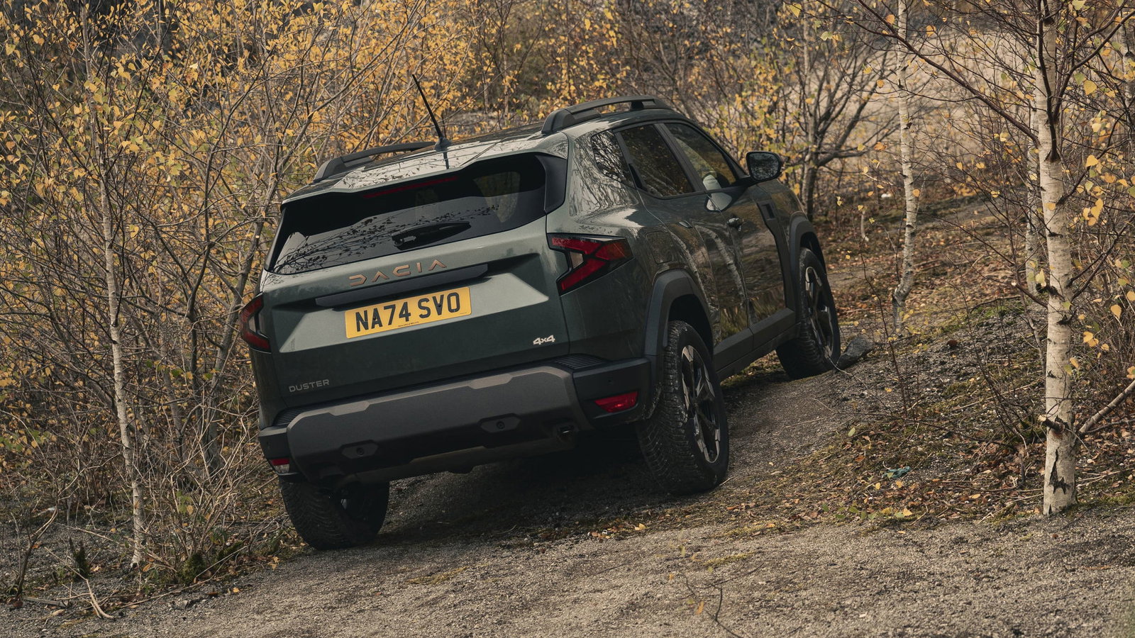 Dacia Duster 4x4 - rear