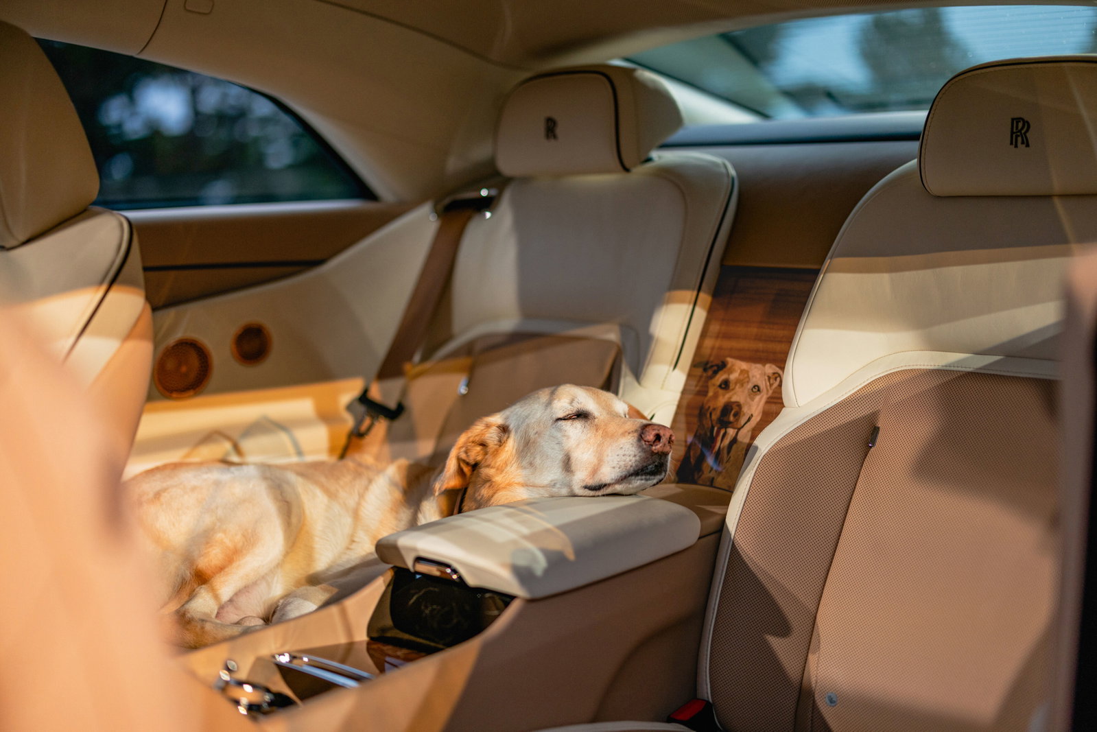 Rolls-Royce Spectre Bailey - interior