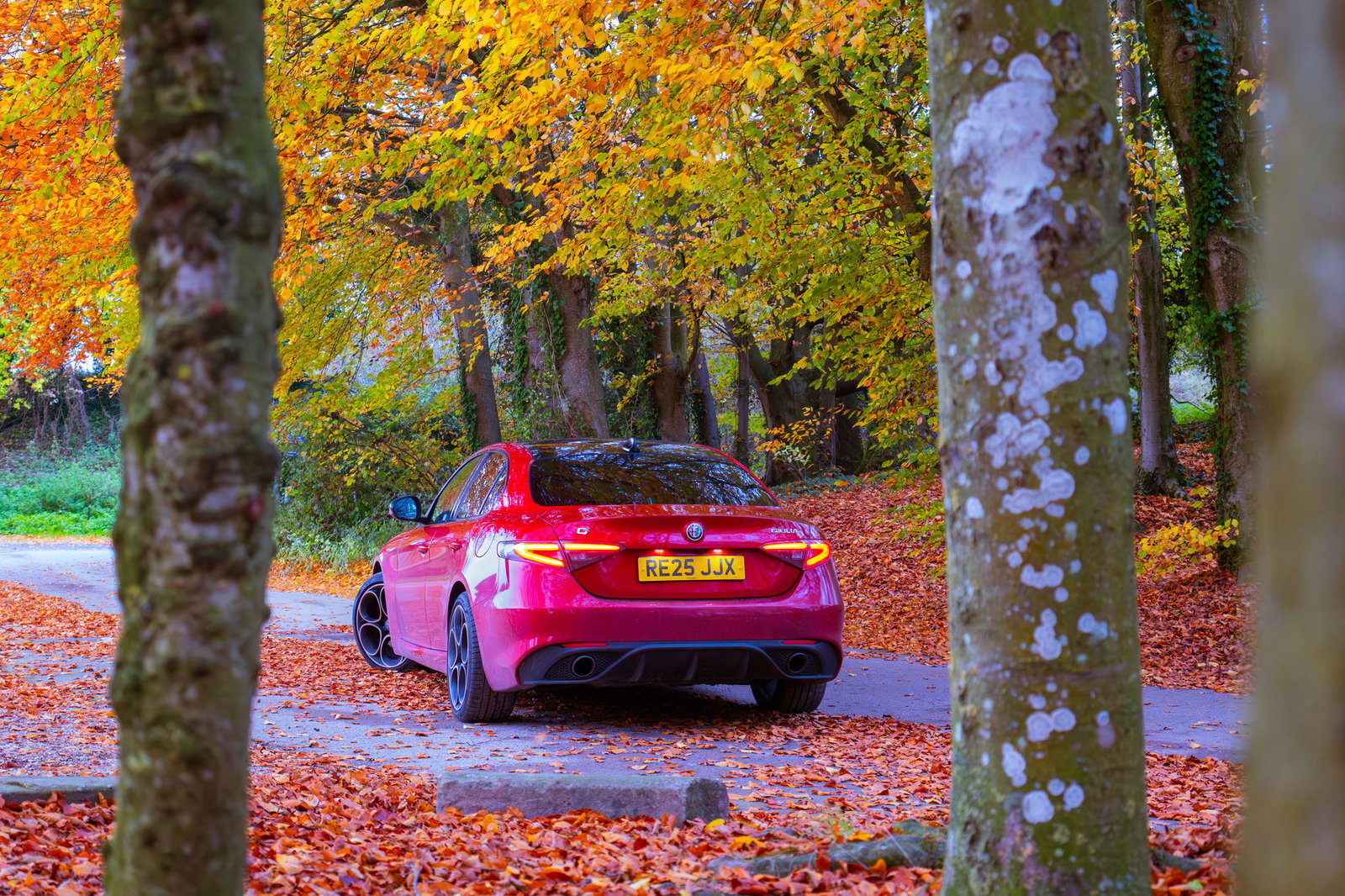 Alfa Romeo Giulia Intensa Rear 3/4