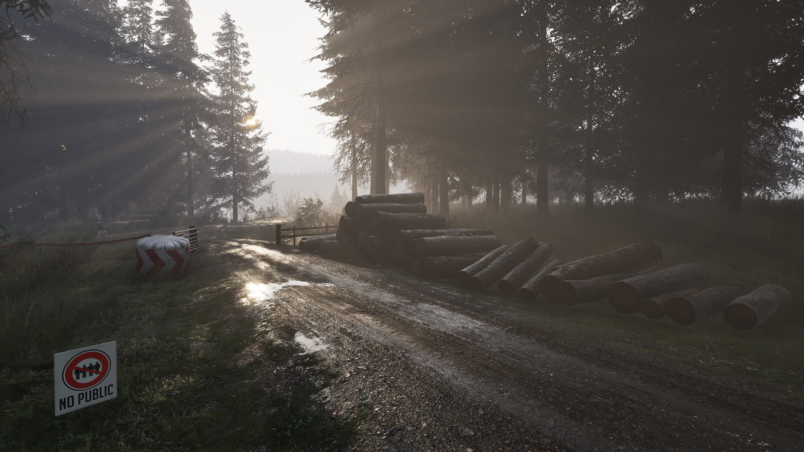 5 Thoughts From Playing Assetto Corsa Rally In Early Access