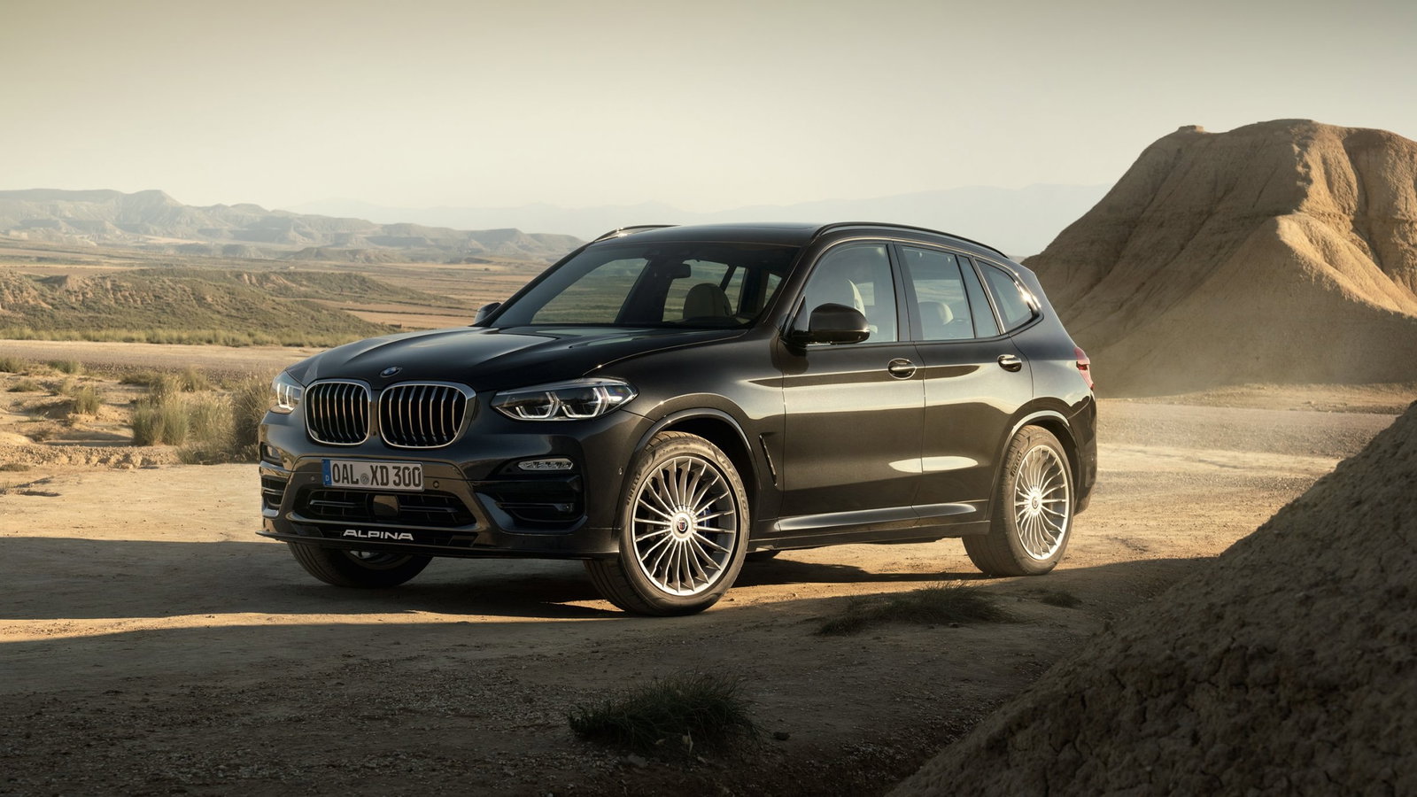Alpina XD3