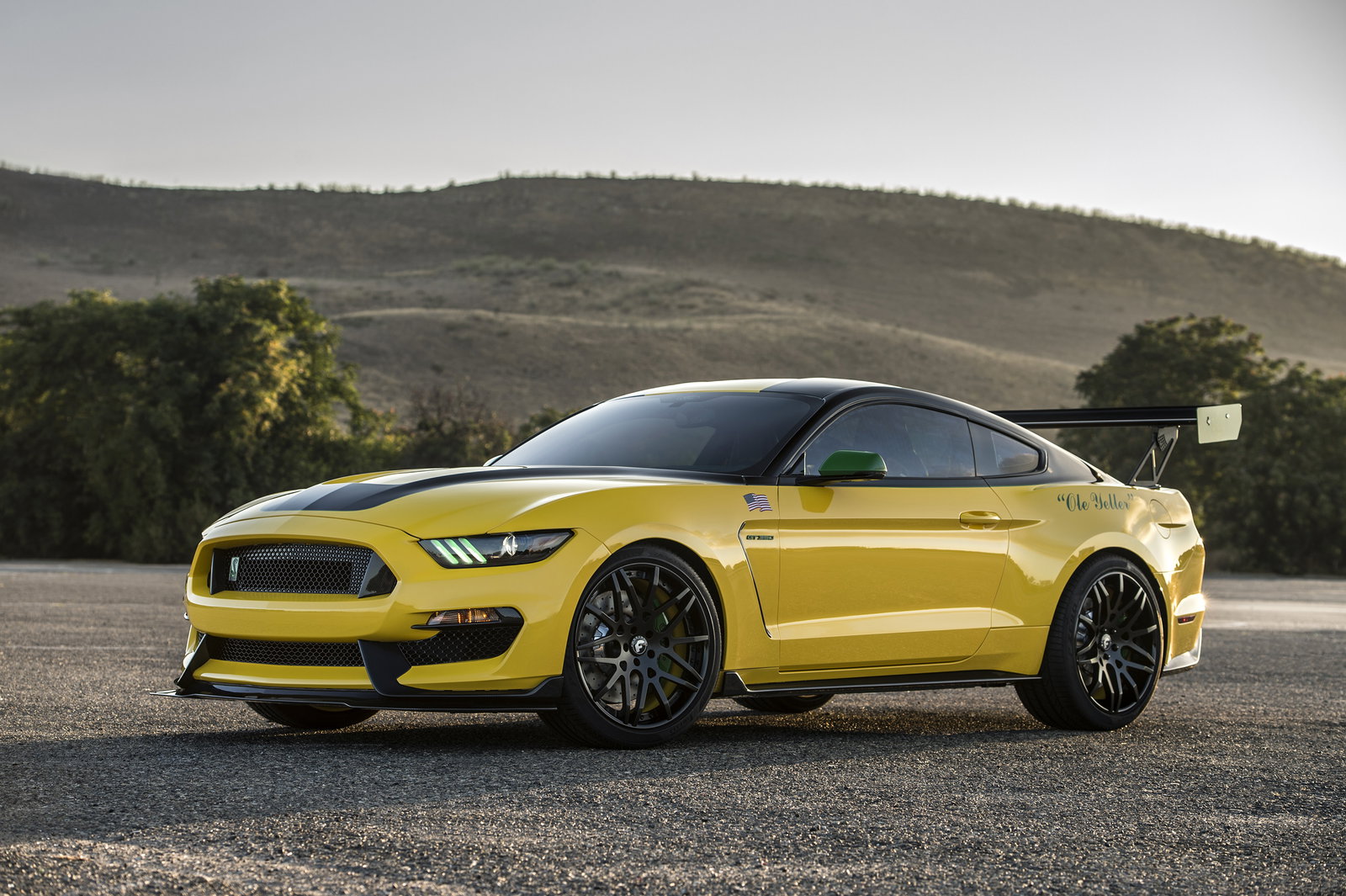 The One-Off 'Ole Yeller' Mustang Is A Very 'Murican Shelby GT350