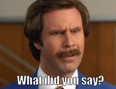 14 Things People Shouldn’t Be Overheard Saying At A Race Meeting