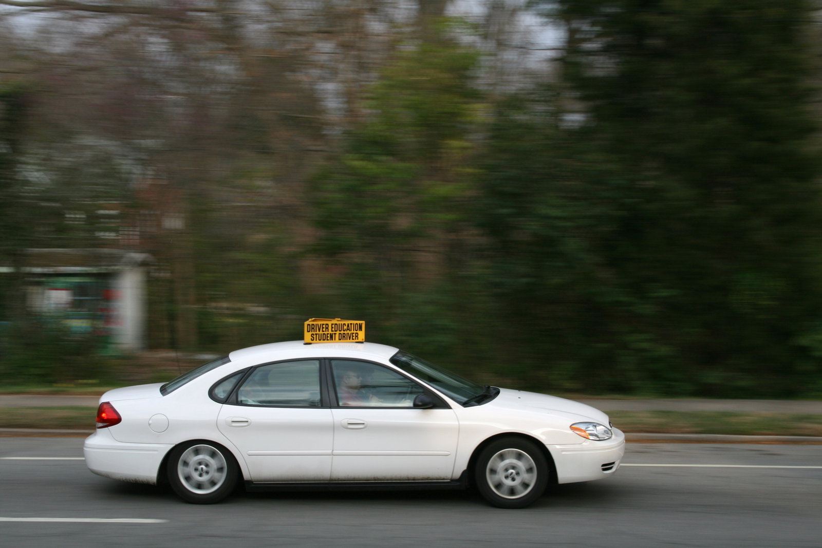 Learner Driver Passes Driving Test Despite Killing A Deer