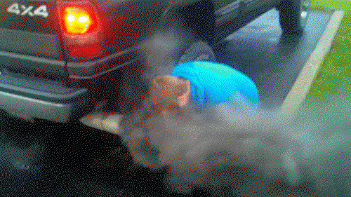 7 Smells That Petrolheads Can't Stand