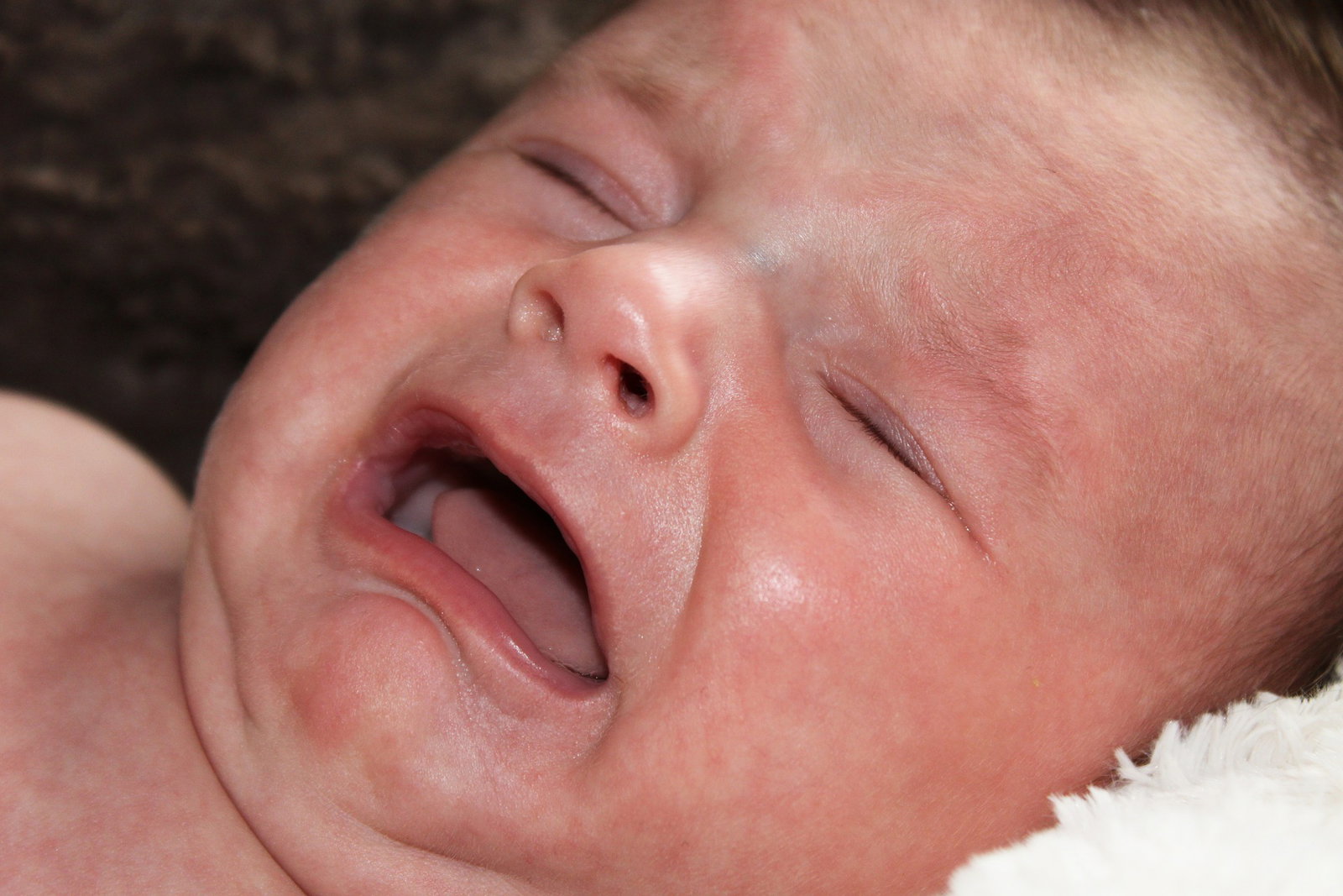 10 Sounds A Parent Never Wants To Hear Coming From The Back Seat