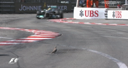 15 Wonderful Slow-Motion Clips Of F1 Cars In Action