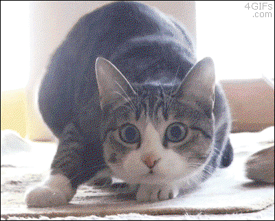 The 10 Best Comments On CT Last Week