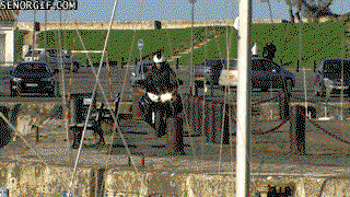 These 18 Ridiculous Gifs Show The Pros And Cons Of Motorcycling