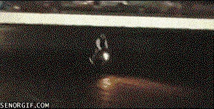 These 18 Ridiculous Gifs Show The Pros And Cons Of Motorcycling