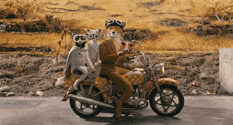 These 18 Ridiculous Gifs Show The Pros And Cons Of Motorcycling