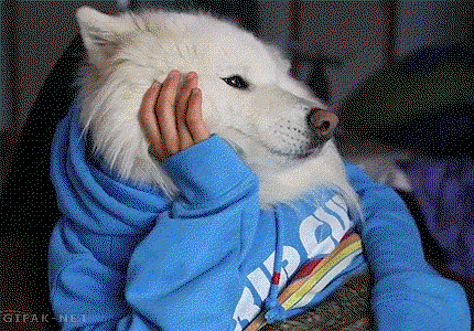 13 Ways We Reacted To The 'Last Ever' Top Gear Episode