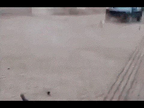 The 10 Hottest Action Gifs On CT This Week 
