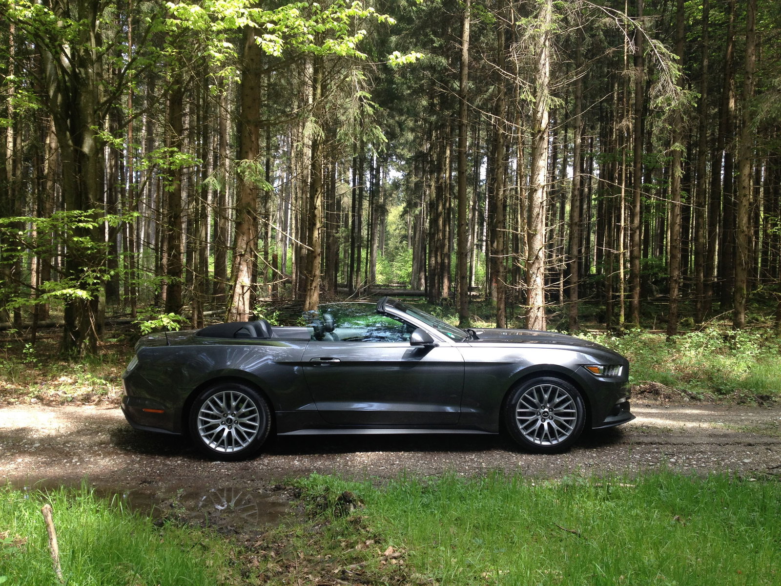 One Wild Day With A V8 Mustang Made Me Fall In Love With Muscle Cars