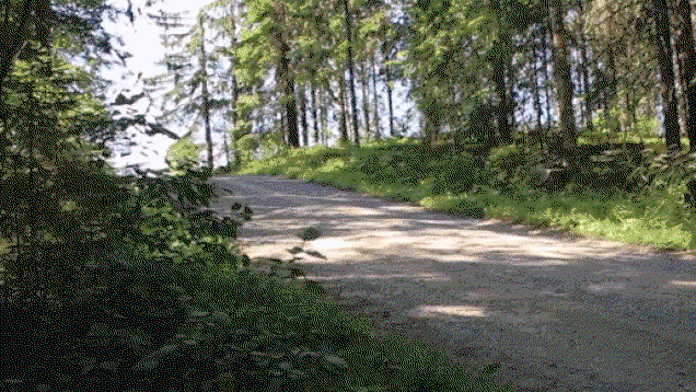 16 Awesome Gifs Of Rally Cars Getting Some Serious Air