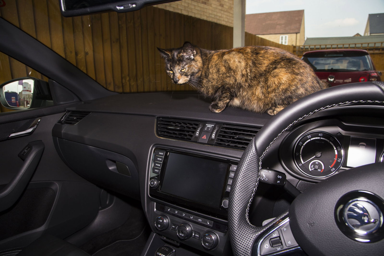 The 13 Weirdest Things Found In Used Cars By CT Readers