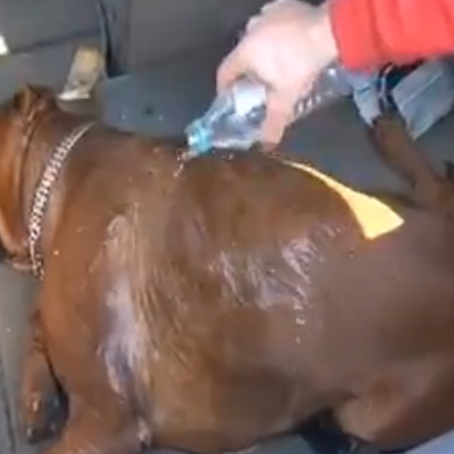 These Are The Most Searched Car Brands Around The World