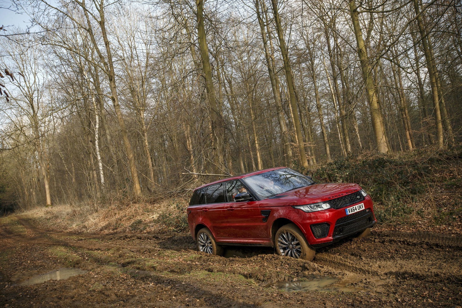 Submitted by PoisonedGas 