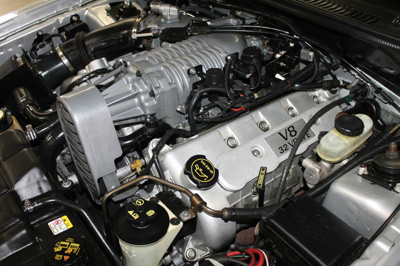 Terminator Cobra Or S2000: The $23k Convertible Conundrum