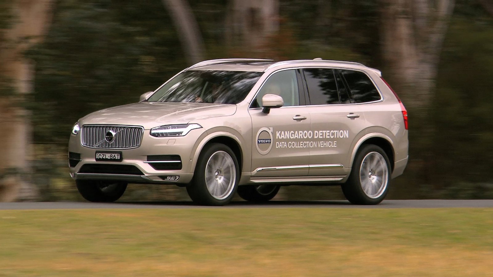 Good Guy Volvo Is Working On A Kangaroo Detection System To Stop Fatalities In Australia 