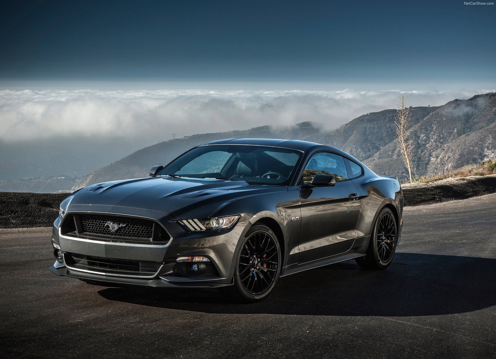 The Top 10 Cars Of The Last Year 