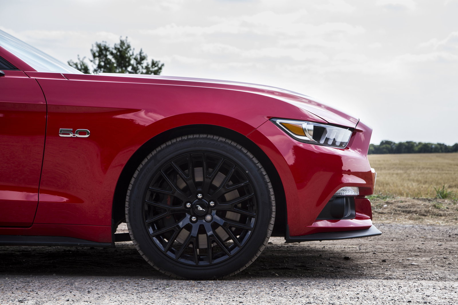 What Girls Really Think Of A V8 Mustang