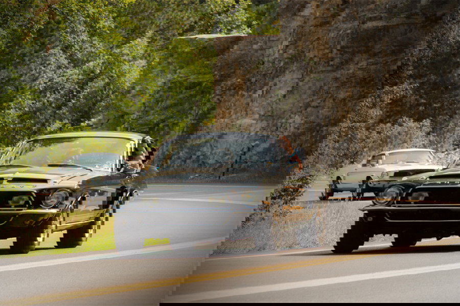 I Survived A Massive Mustang Gathering - Here’s What I Learned