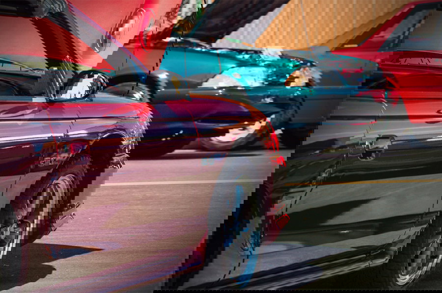 I Survived A Massive Mustang Gathering - Here’s What I Learned