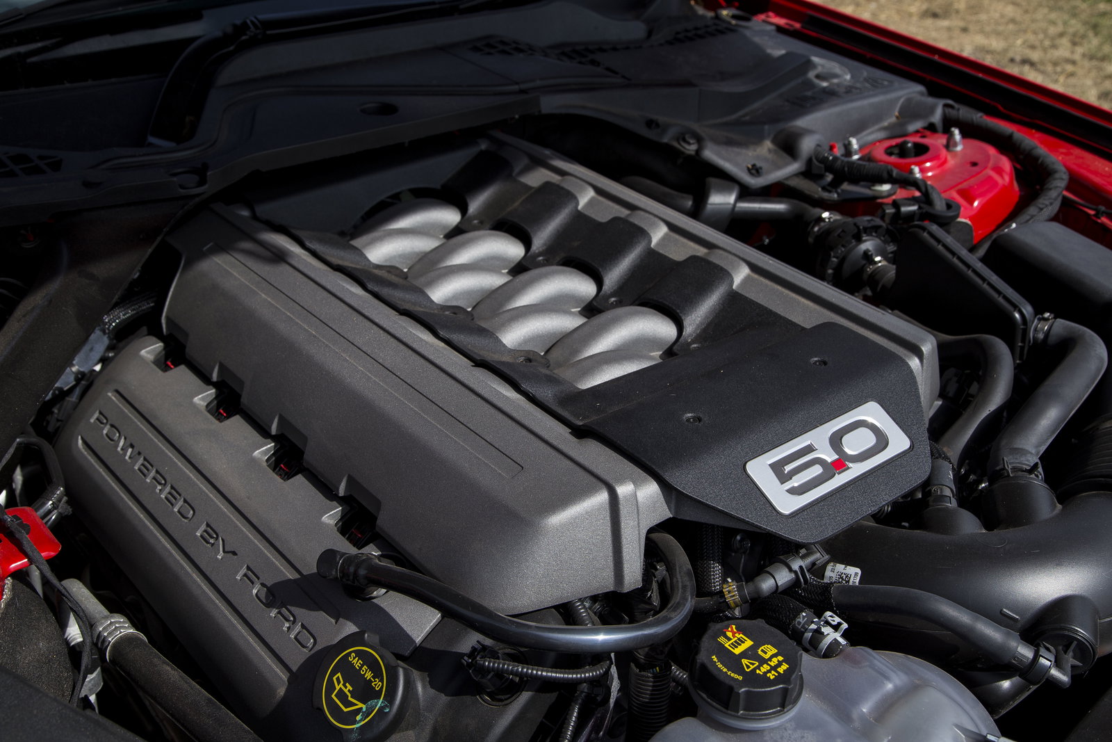What Girls Really Think Of A V8 Mustang