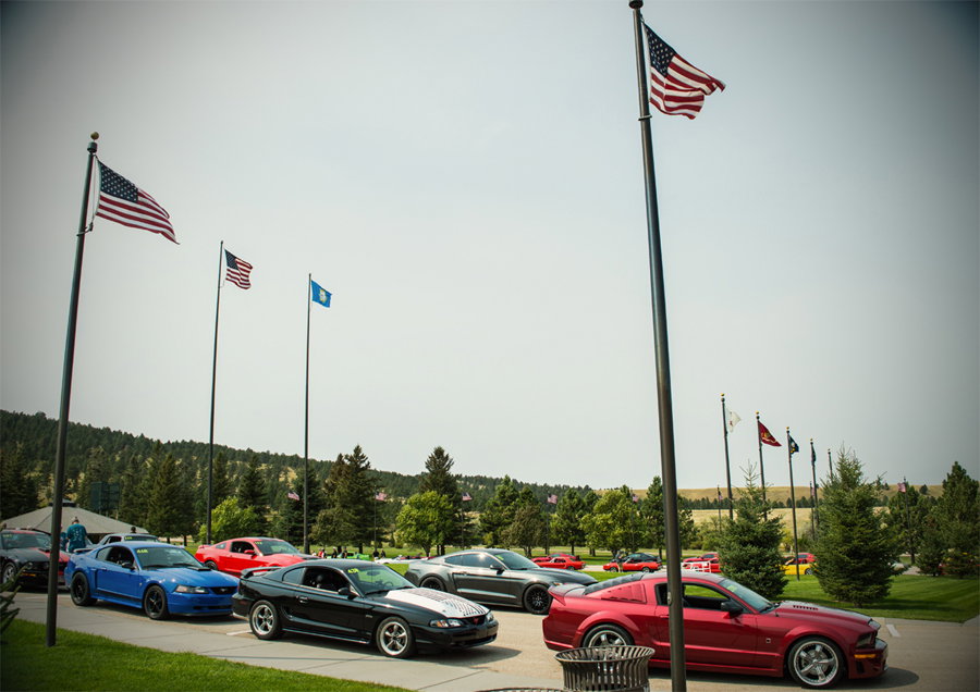 I Survived A Massive Mustang Gathering - Here’s What I Learned