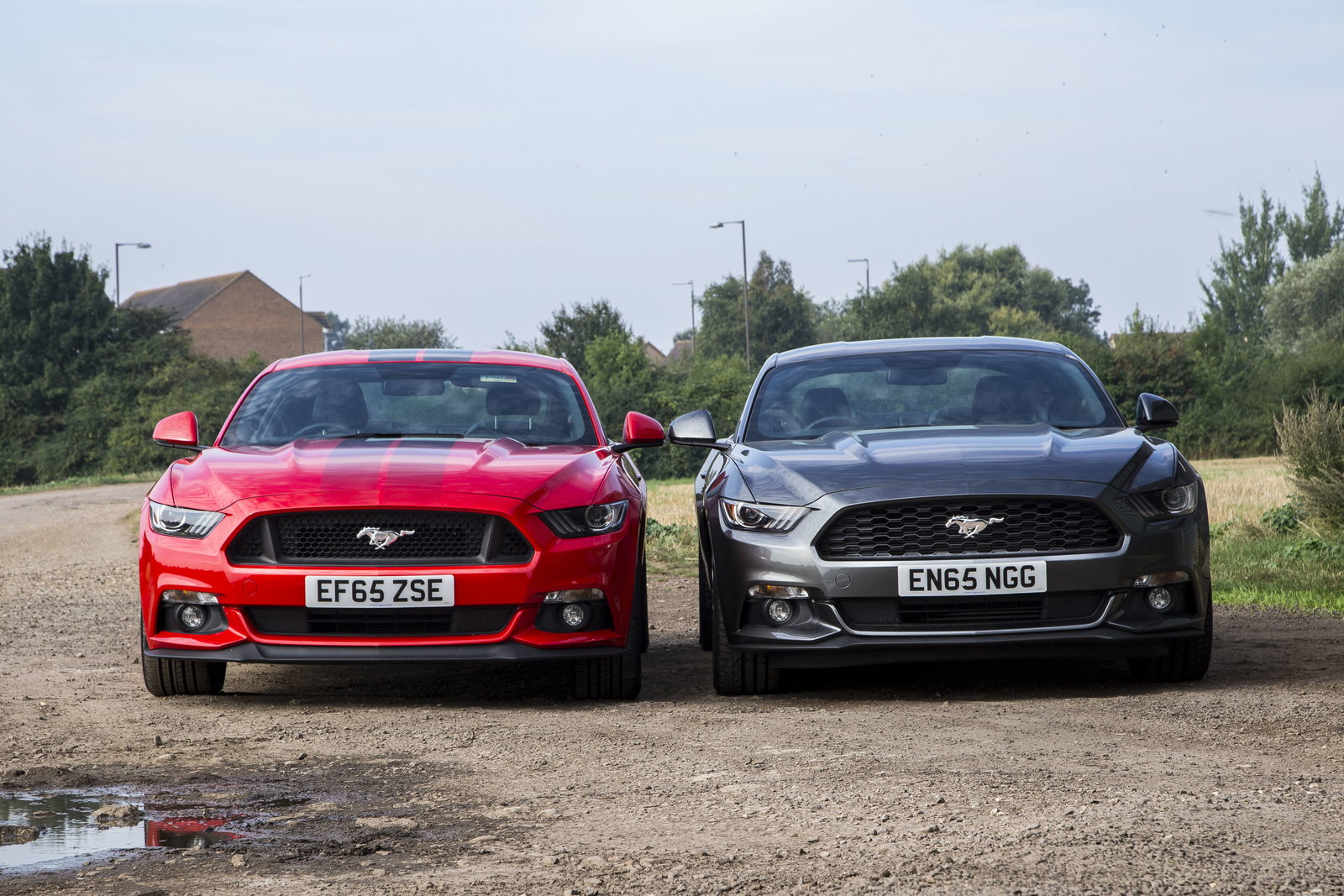 7 Exterior Differences Between The Ford Mustang GT And Ecoboost