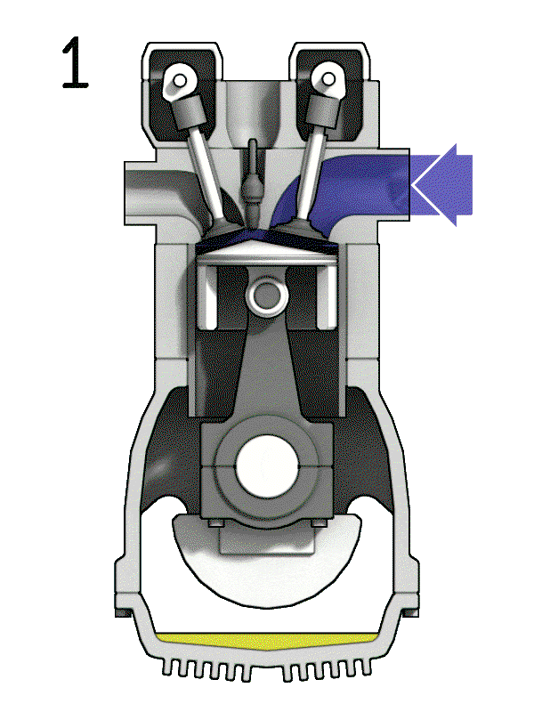 Here you can see the lobes of dual over-head camshafts opening the engine valves on each stroke