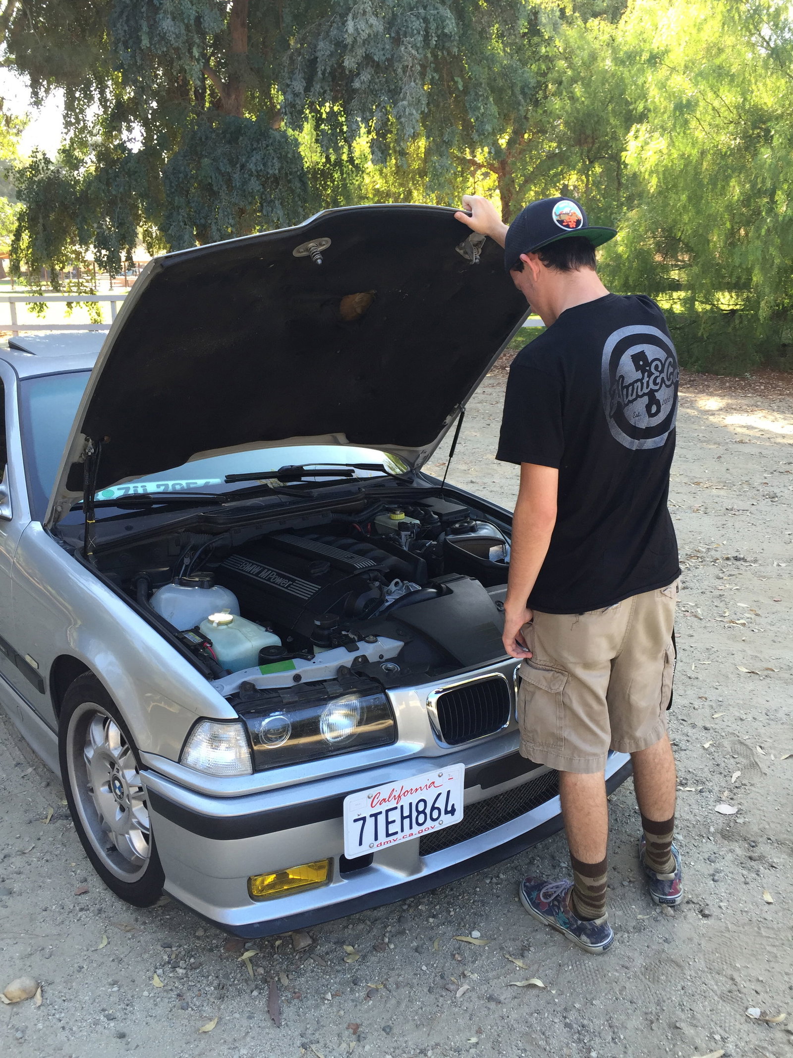 This Genius Cat Knows How To Use Pedestrian Crossings