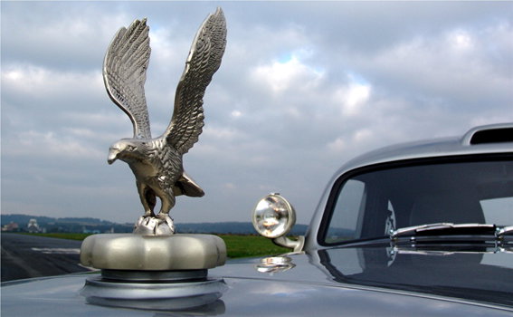 The hood-ornament. The normal eagle-badge would not have been adequate, would it?