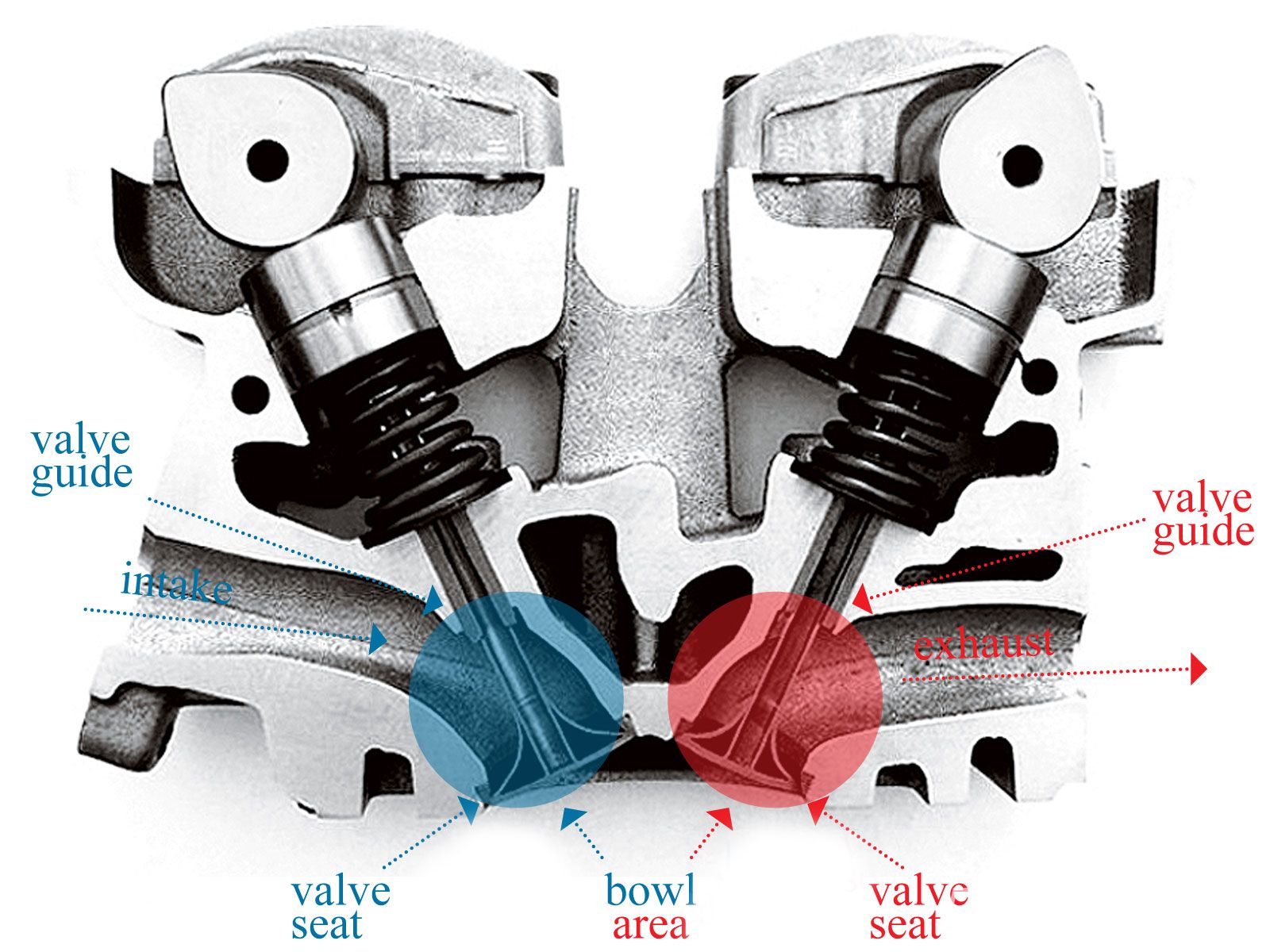 The anatomy of a cylinder head, with the corresponding valvetrain above