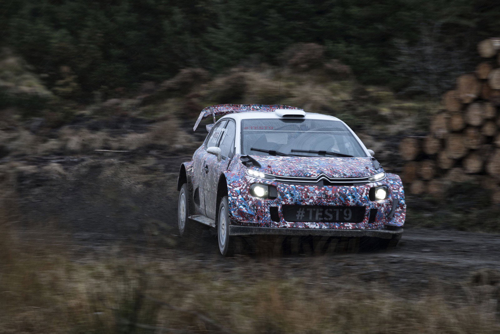 9 Reasons Why You Should Watch The WRC In 2017