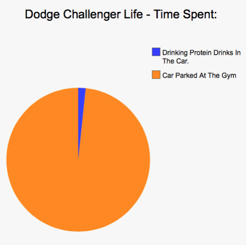 Car Life In Pie Charts (Warning - Savage.)