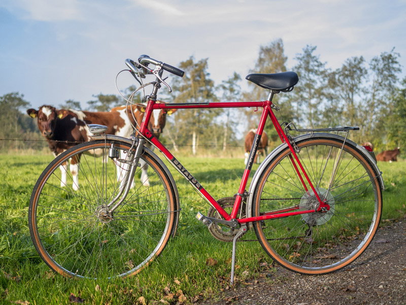 Photo credit: Wikimedia Commons