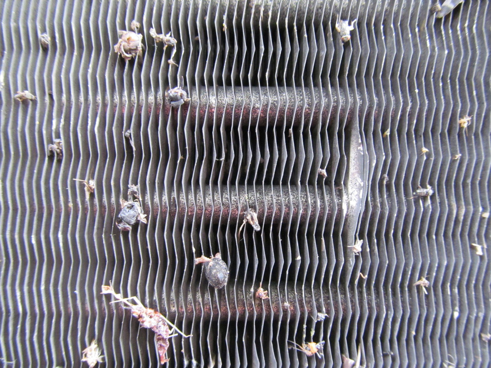 Radiators have horizontal tubes that carry the coolant and allow for the incoming air to interact with it, producing heat transfer