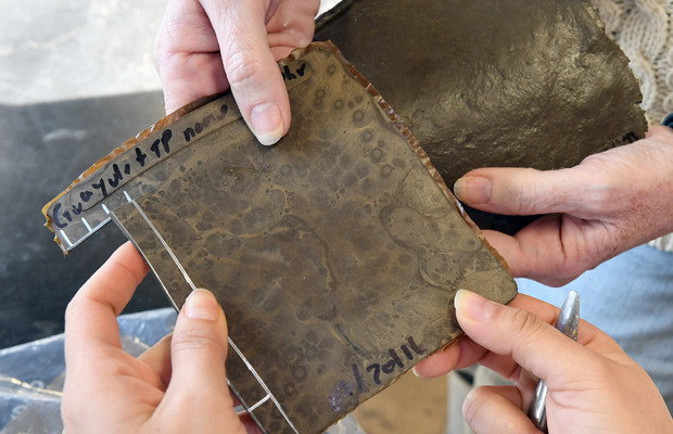 It Looks Like Toyota Is Resurrecting The MR2 As Well As The Supra