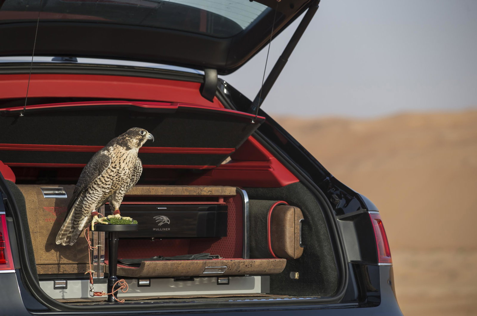 Bentley Has Made A 'Bentayga Falconry' Because Of Course It Has