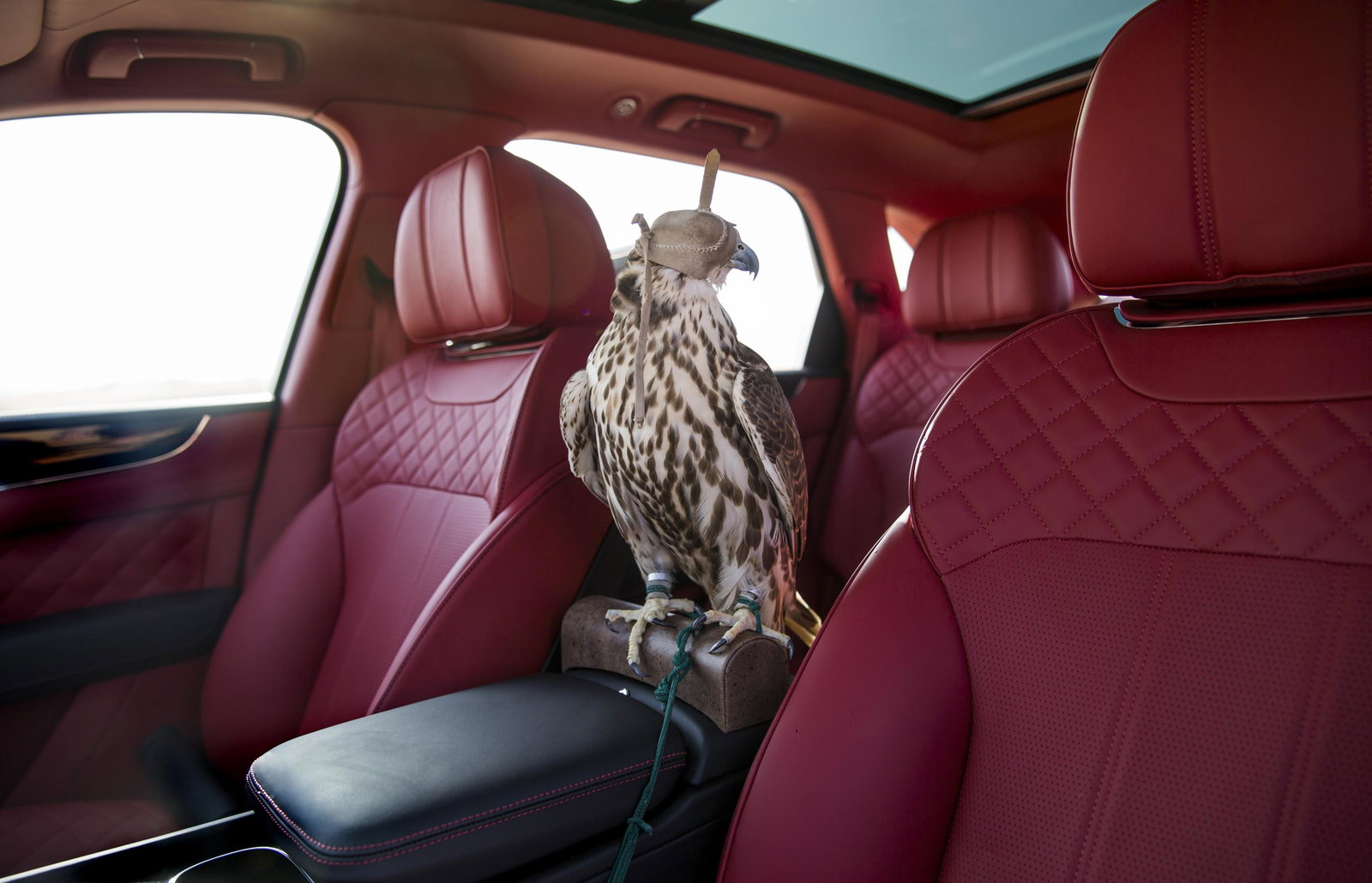 Bentley Has Made A 'Bentayga Falconry' Because Of Course It Has