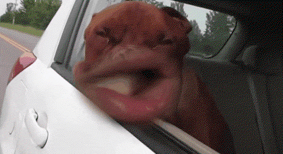 What Causes That Awful Buffeting Sound When You Open One Car Window?