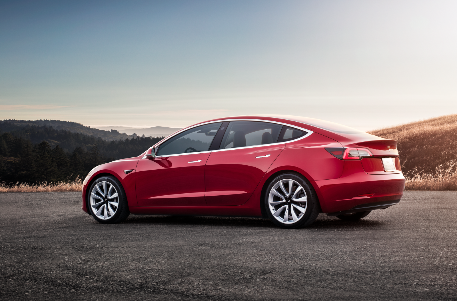 Why 2019 Has Been A Superb Year For Petrolheads