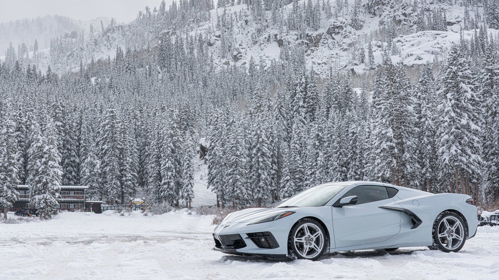 Our 8 Favourite Cars In 2020